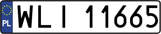 WLI11665