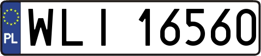 WLI16560