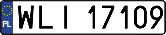 WLI17109