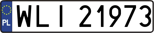 WLI21973