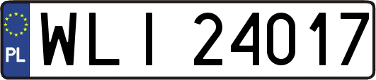 WLI24017