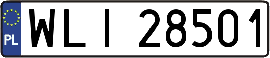 WLI28501