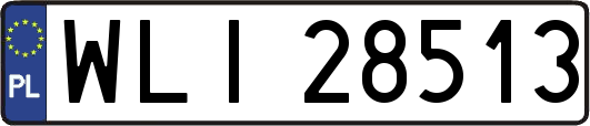 WLI28513