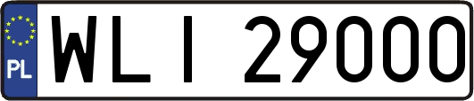 WLI29000