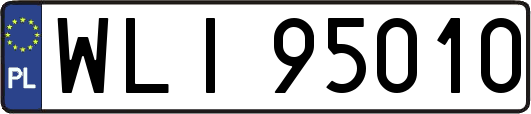 WLI95010