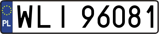 WLI96081