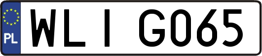 WLIG065