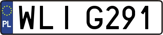 WLIG291