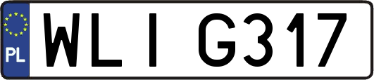 WLIG317