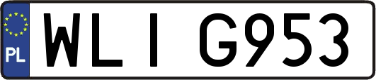 WLIG953