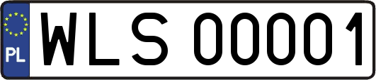 WLS00001