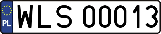 WLS00013