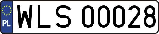 WLS00028