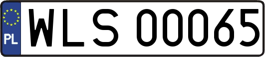 WLS00065