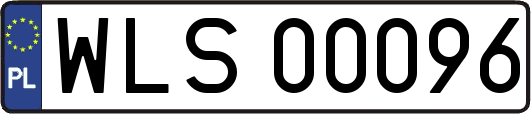 WLS00096