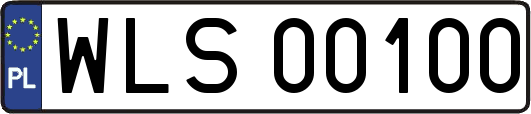 WLS00100