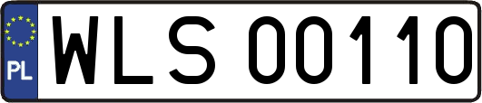 WLS00110