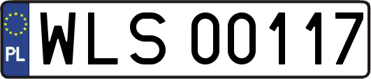 WLS00117