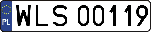 WLS00119