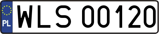 WLS00120