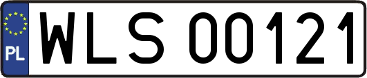 WLS00121