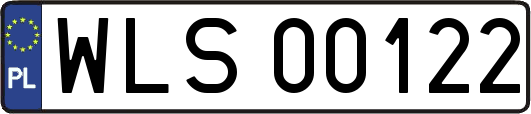 WLS00122