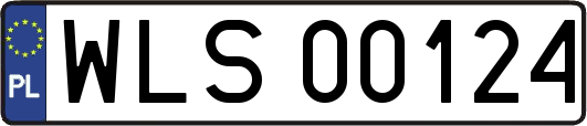 WLS00124