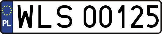 WLS00125