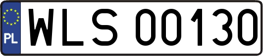 WLS00130
