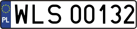 WLS00132