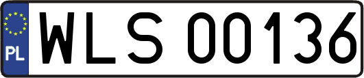 WLS00136