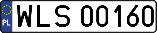 WLS00160