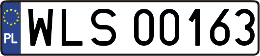 WLS00163