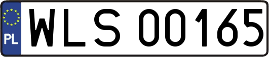 WLS00165