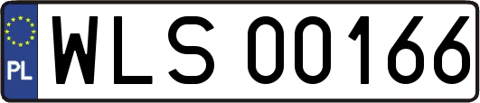 WLS00166