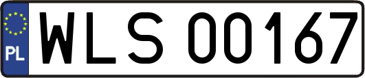 WLS00167