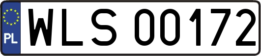 WLS00172