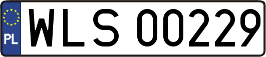 WLS00229