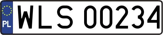 WLS00234