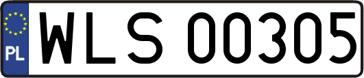 WLS00305