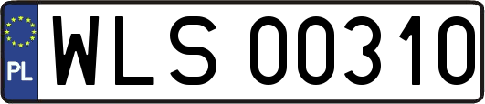 WLS00310