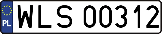 WLS00312