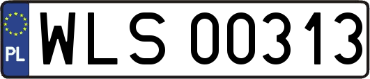 WLS00313