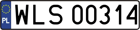 WLS00314