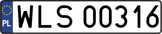 WLS00316