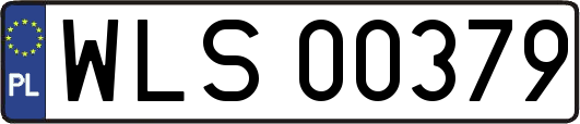 WLS00379