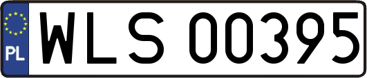 WLS00395