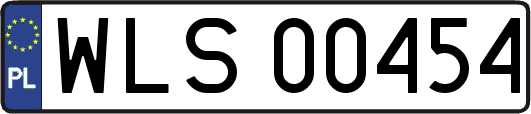 WLS00454