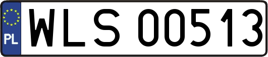 WLS00513