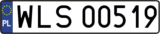 WLS00519